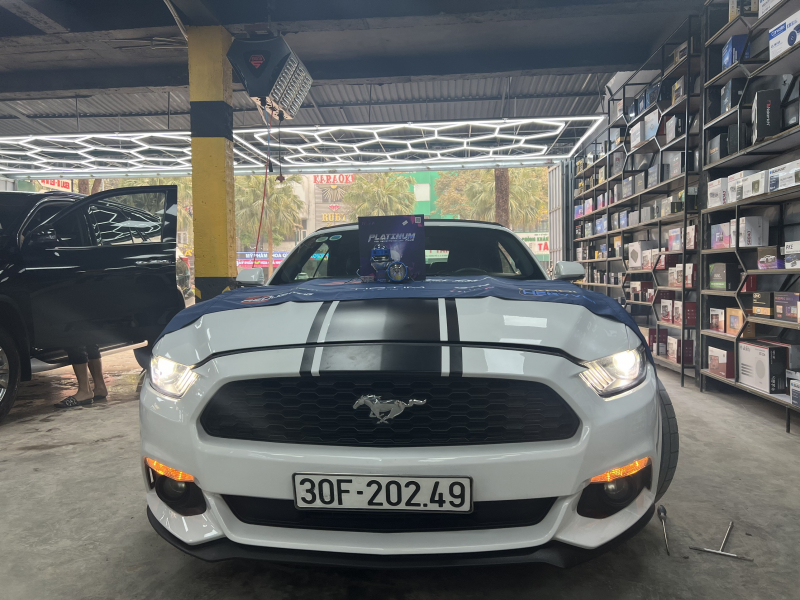 Độ đèn nâng cấp ánh sáng Nâng cấp Bi led Platium Mustang